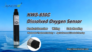 Ikhtisar Sensor Oksigen Terlarut KWS-650C, Pengkabelan & Pembacaan Data