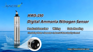 Ikhtisar Sensor Amonia Nitrogen Digital KWS-290, Pengkabelan & Pembacaan Data