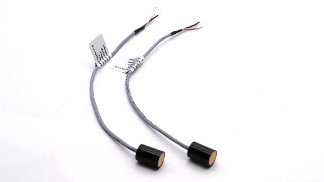 Sensor Transduser Ultrasonik Kelas IP68 200KHz dengan Panjang Kabel 22cm untuk Pengukuran Tingkat Cairan